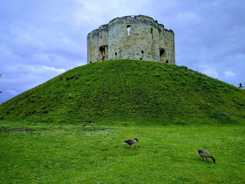 A now empty shell, this is what remains of the Norman York castle. It was raining when we were at the top. All around the hill the tower sits on were geese. York is apparently swarming with geese.